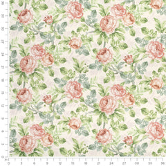 Alameda Rose