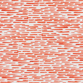 Barbuda Orange