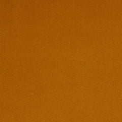 Baylor Amber