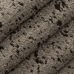 Clinton Mica