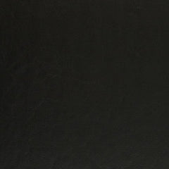 Delphine Black