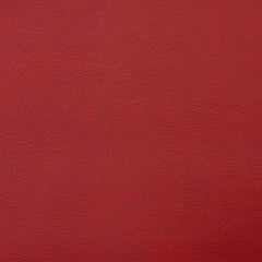 Infinity Scarlet