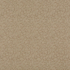 Lola Camel