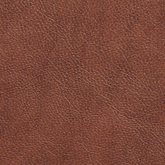 Loring Saddle