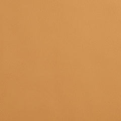 Louie Camel