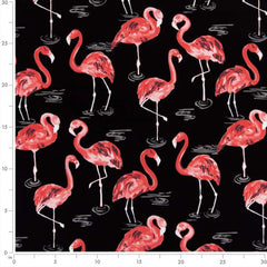 Palm Springs Flamingo