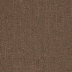 S1029 Raisin