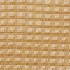 Shelly Wheat