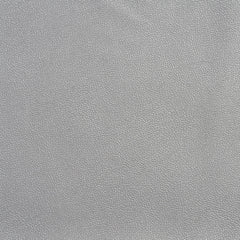 Freeport Silver
