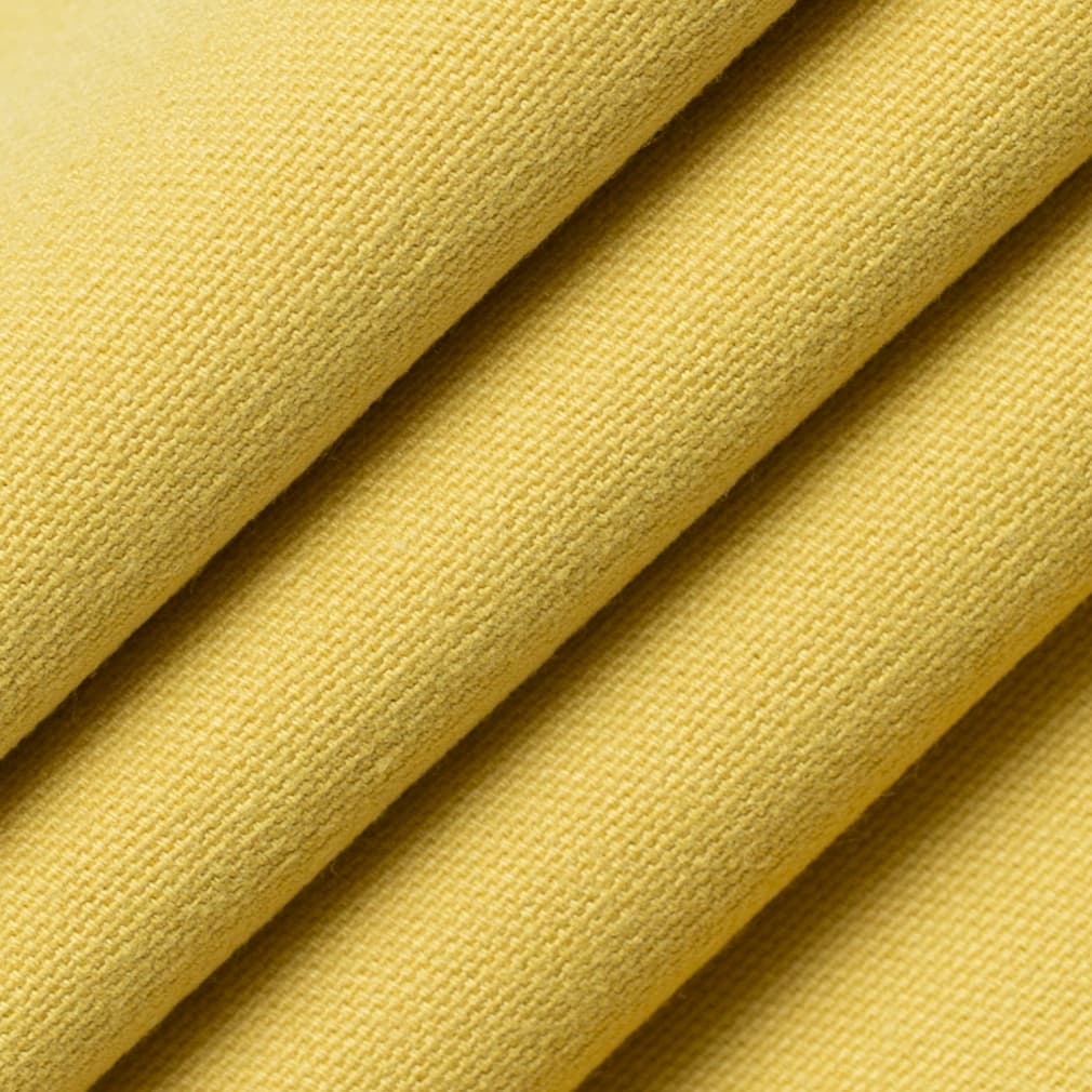 Acacia Maize