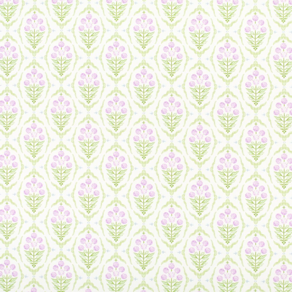 Acadia Lilac
