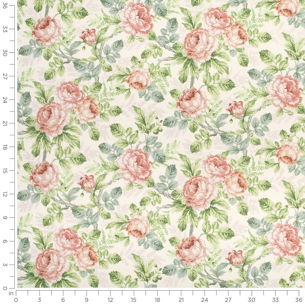 Alameda Rose