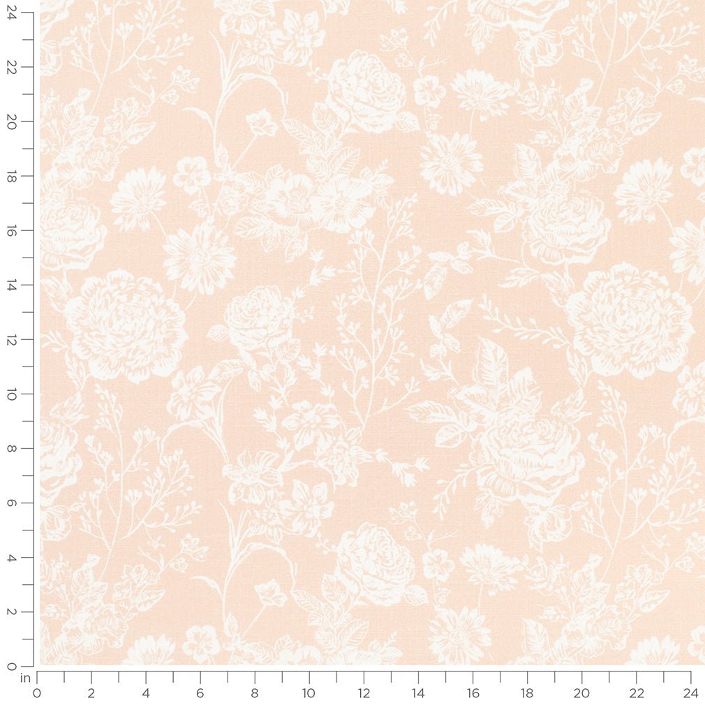 Albany Blush