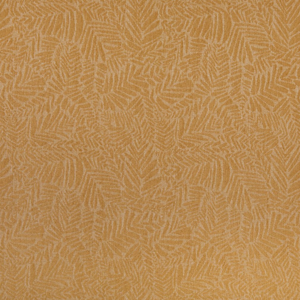 Amico Camel