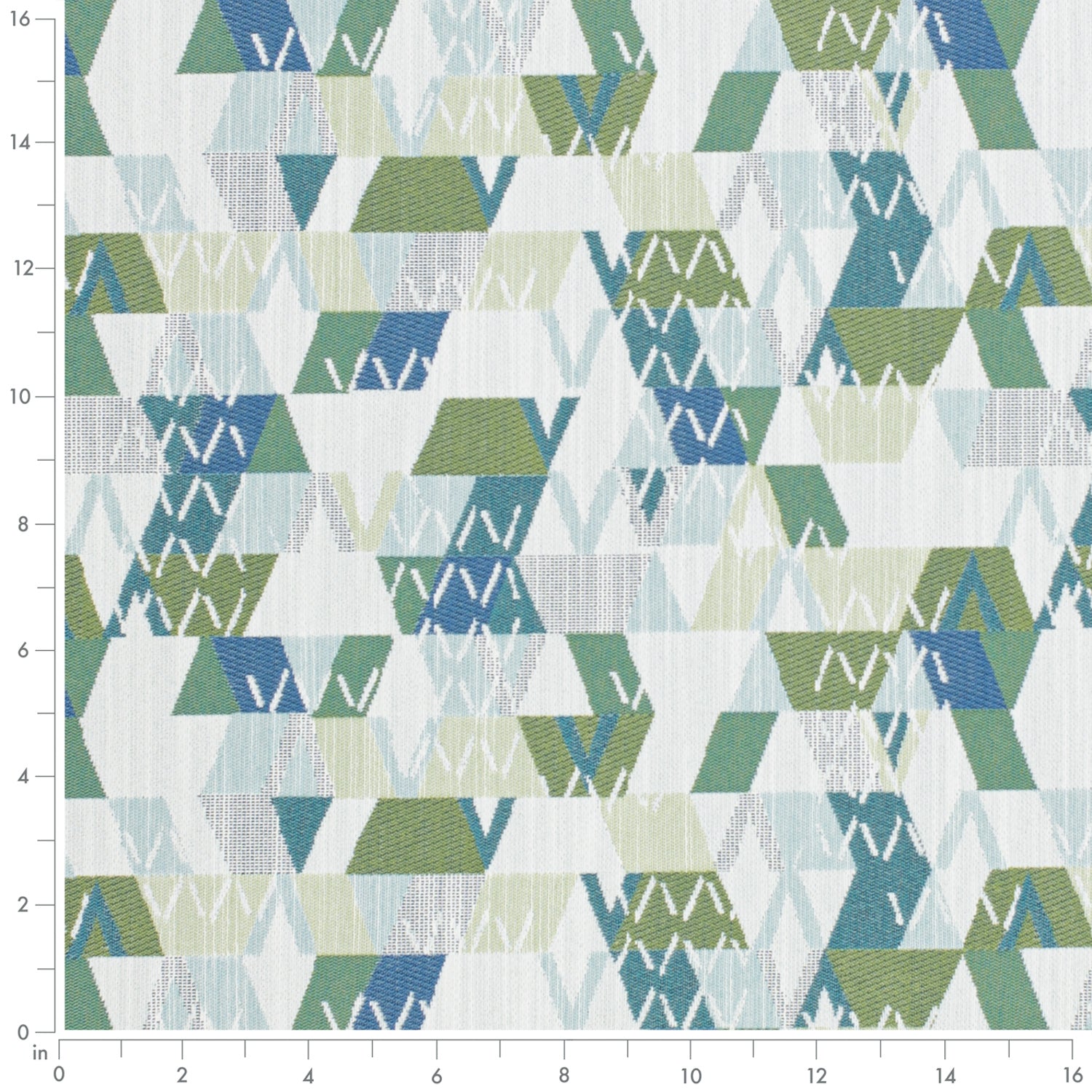 Argyle Fern