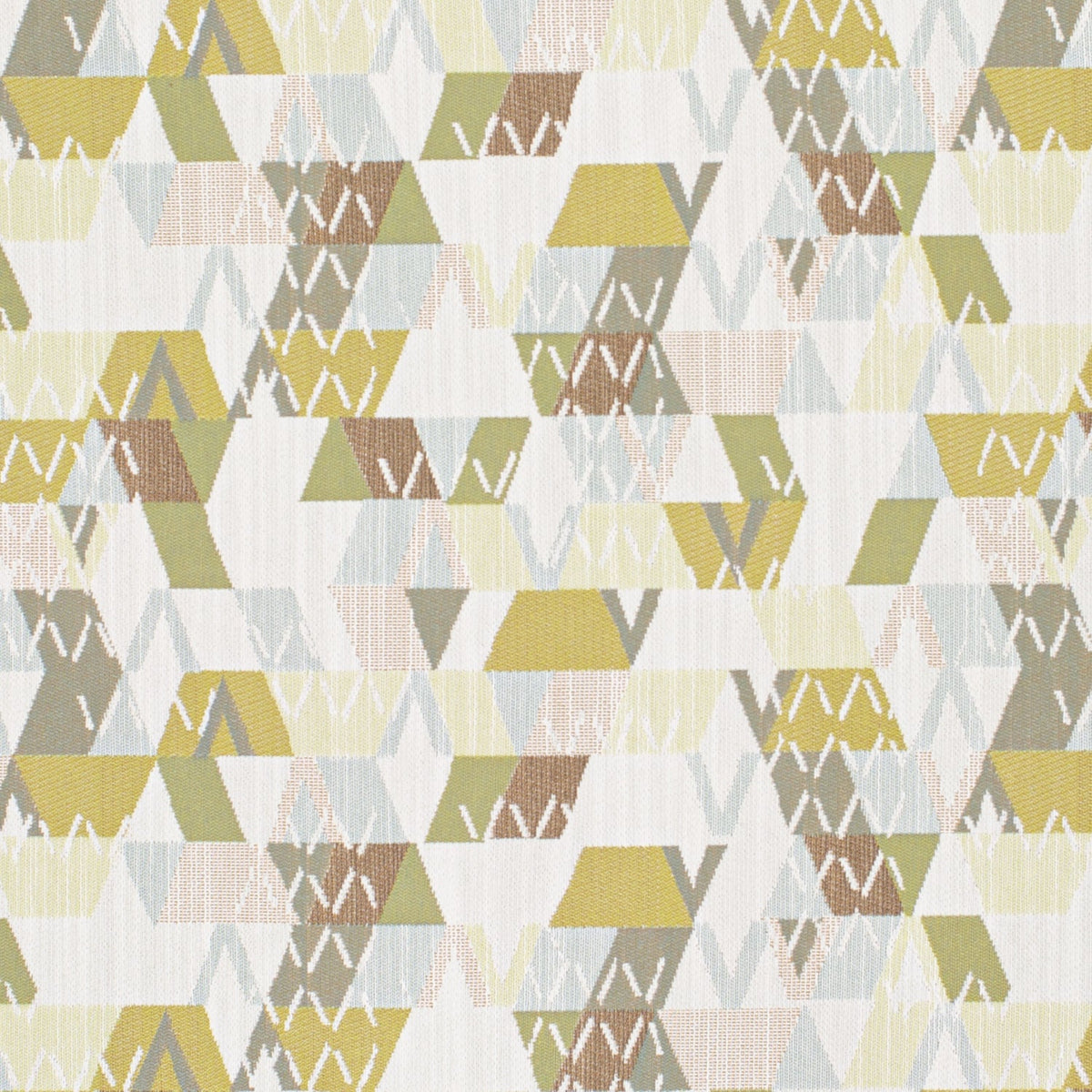 Argyle Olive