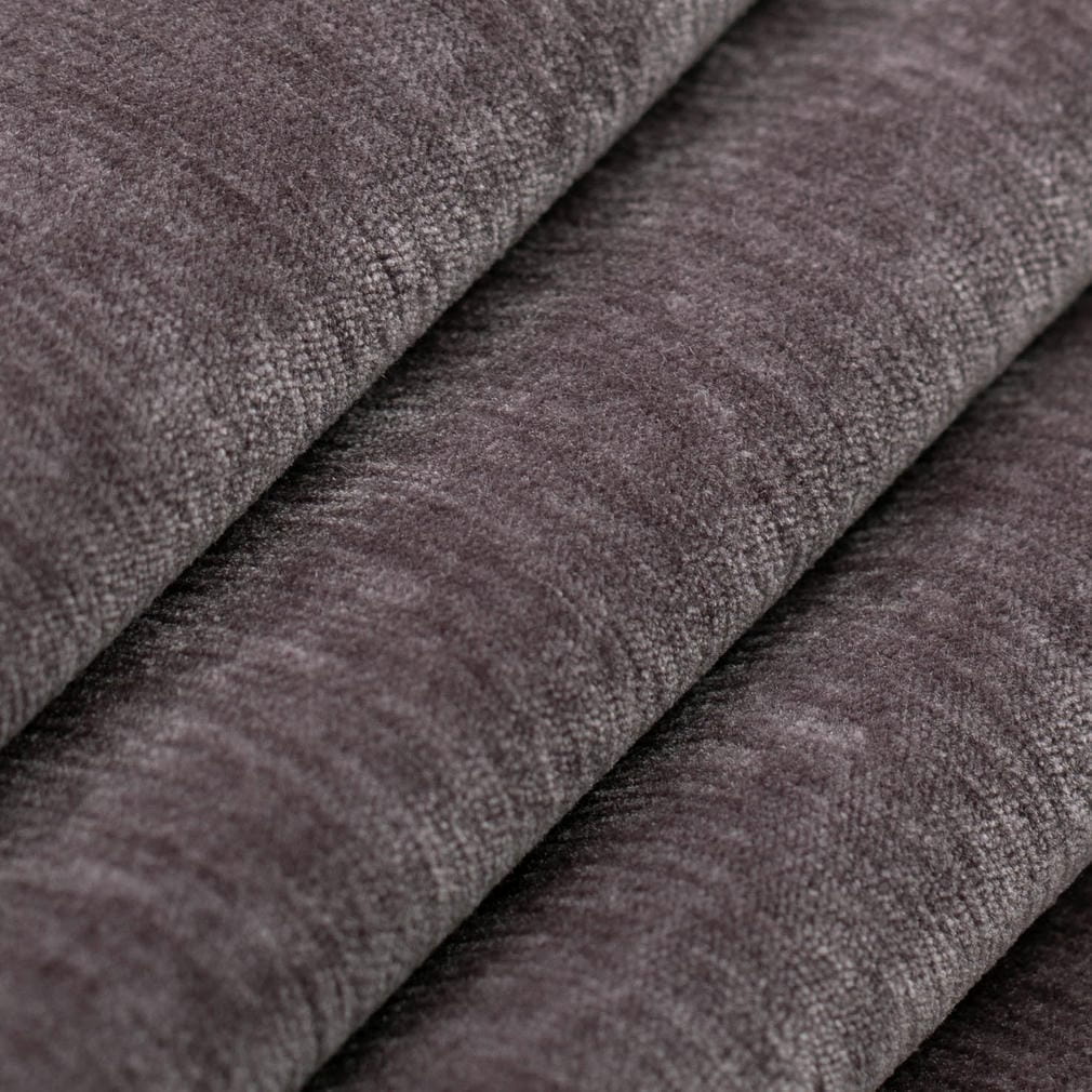 Barnum Lilac