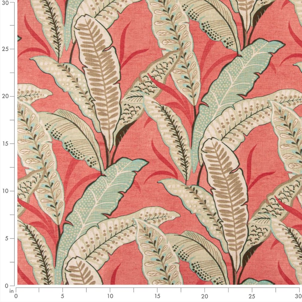 Berkley Coral