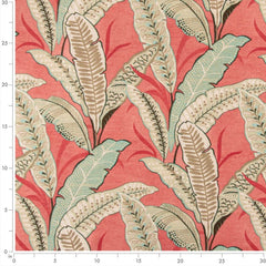 Berkley Coral