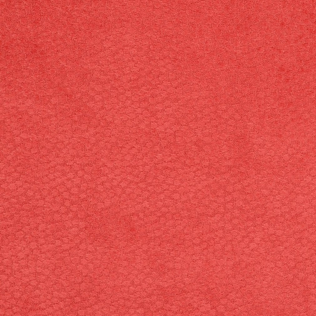 Boden Watermelon
