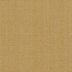 Bombay Wheat