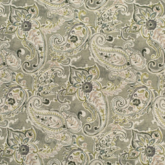 Bowman Lichen