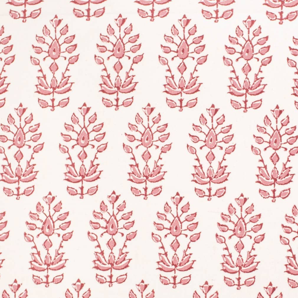 Brian Tea Rose