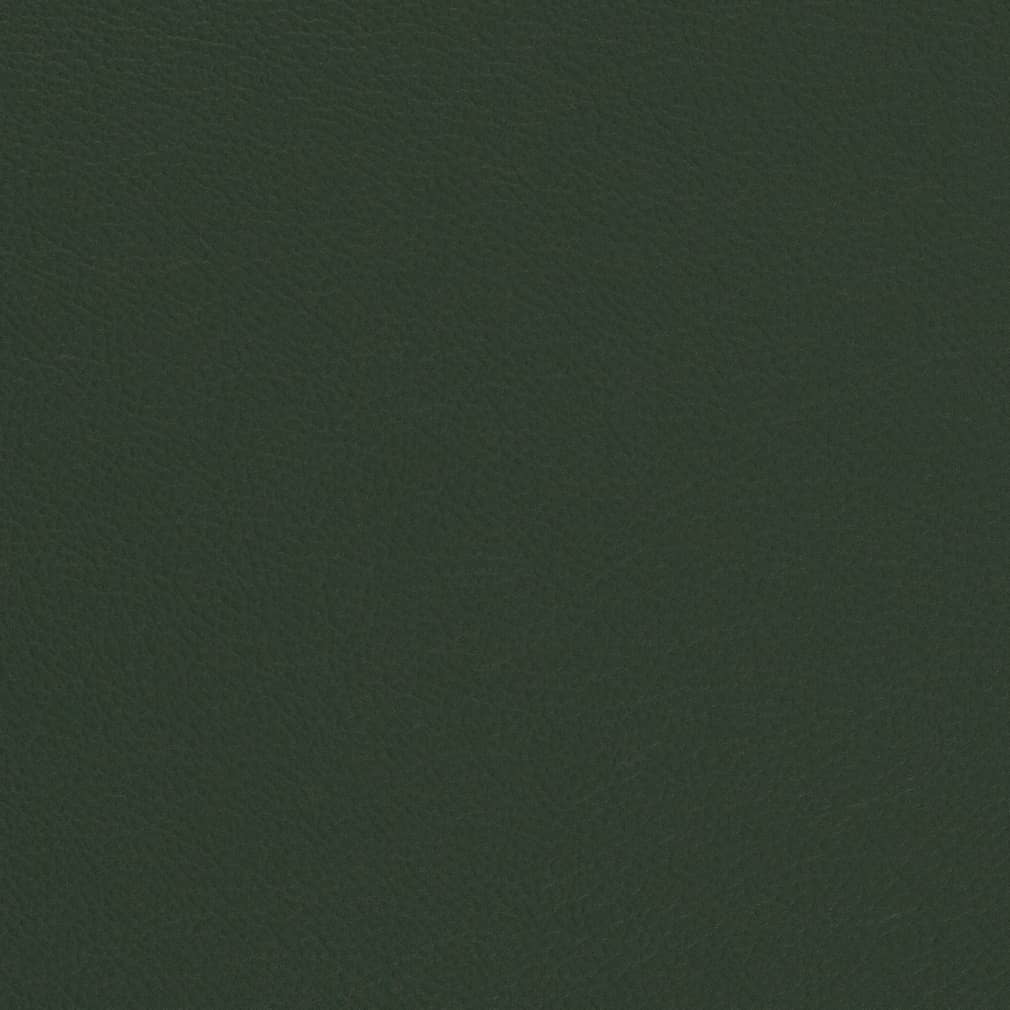 Carmen Evergreen