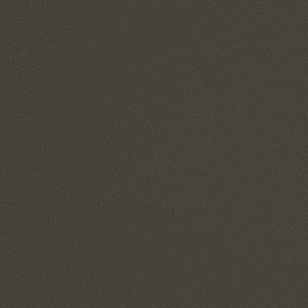 Carmen Iron