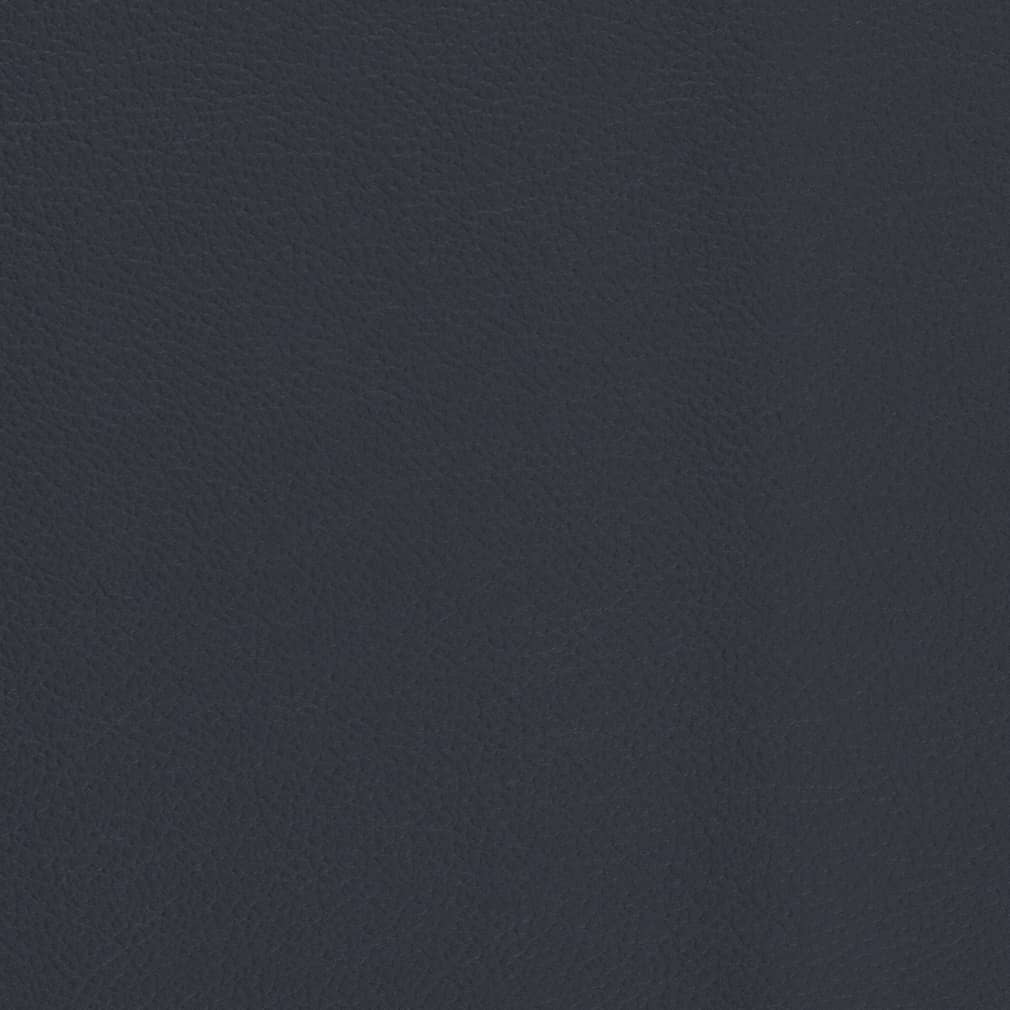 Carmen Navy