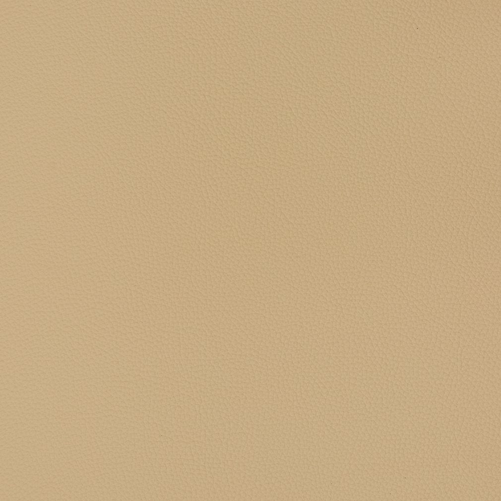 Caspian Cashmere