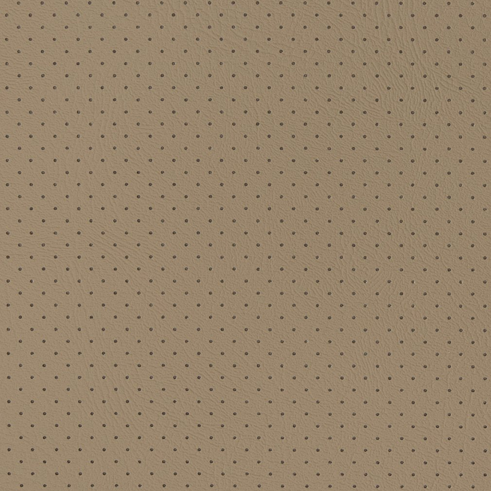 Groveland Fawn