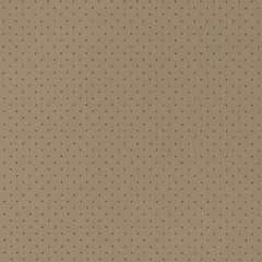 Groveland Fawn