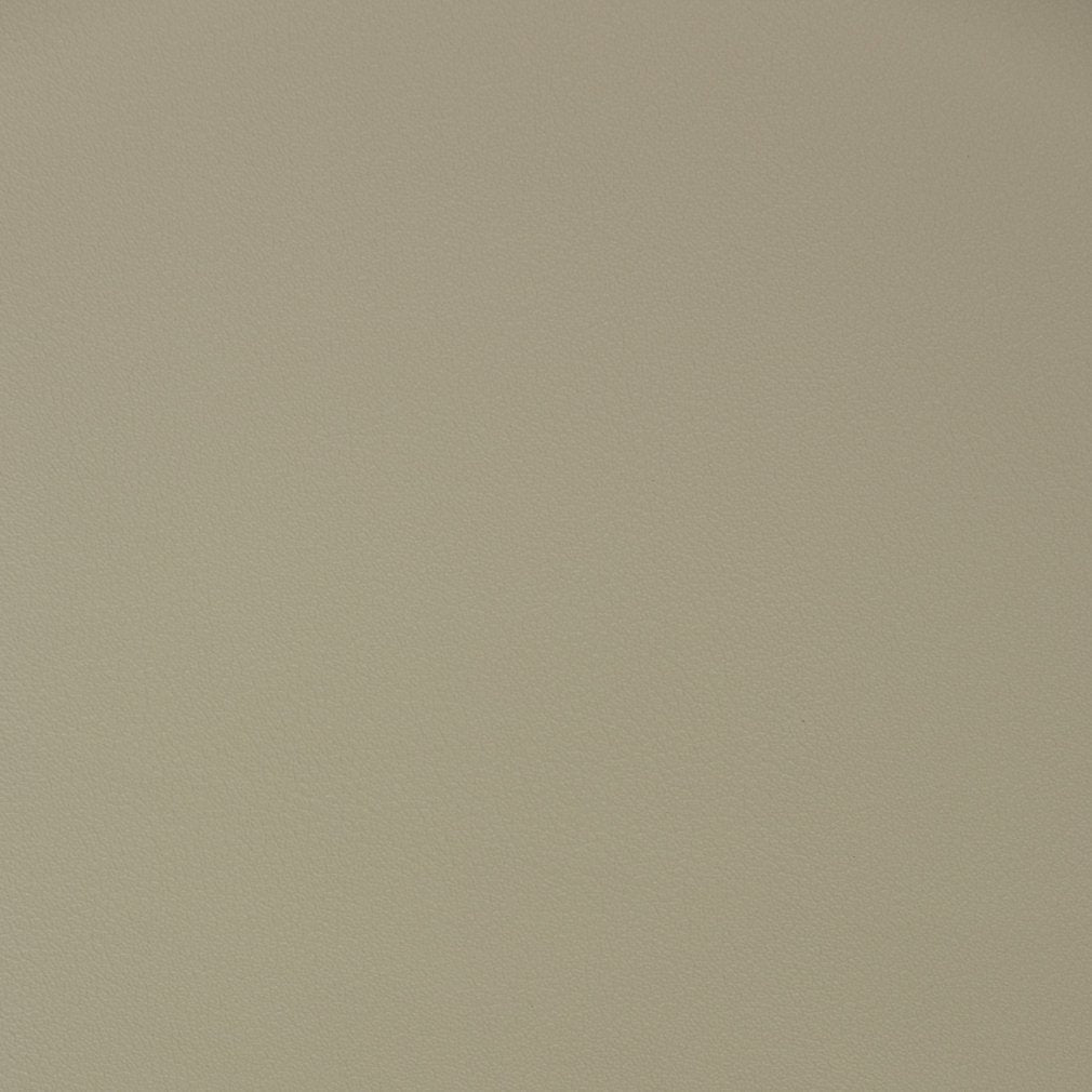 Caspian Putty