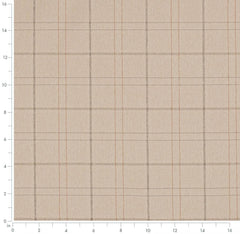 Catalina Wheat