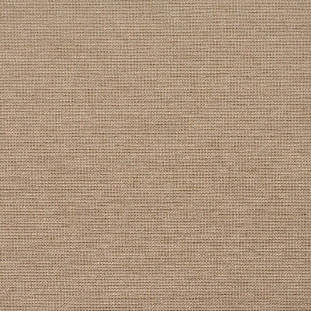 Catherine Moleskin