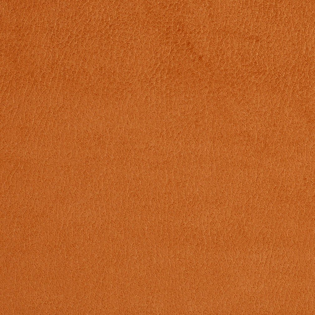 Chase Apricot