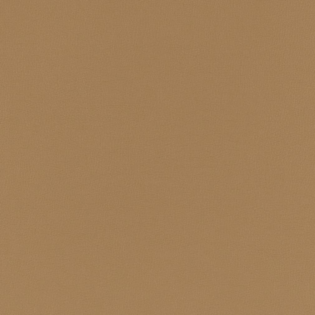 Clara Sandstone