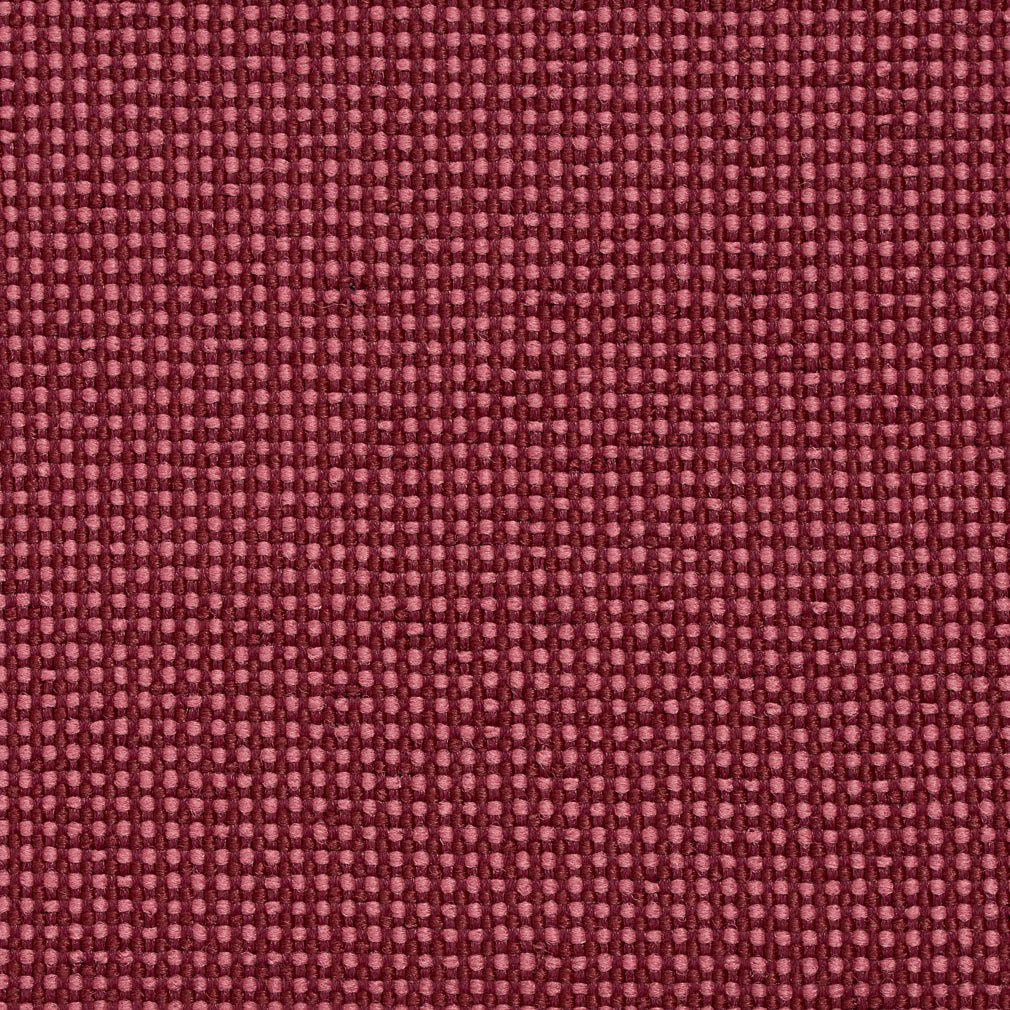 Avalon Blackberry
