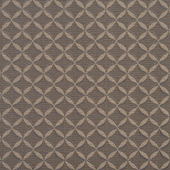 Cory Taupe