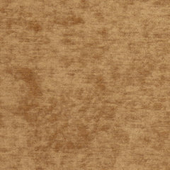 Dani Camel