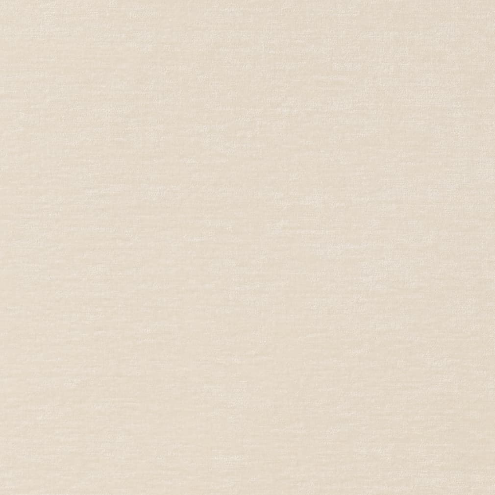 Dani Parchment