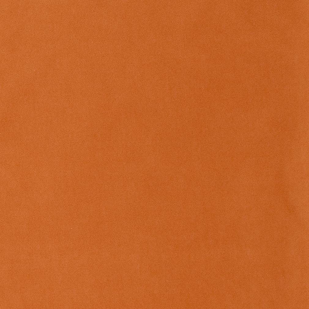 Dean Apricot