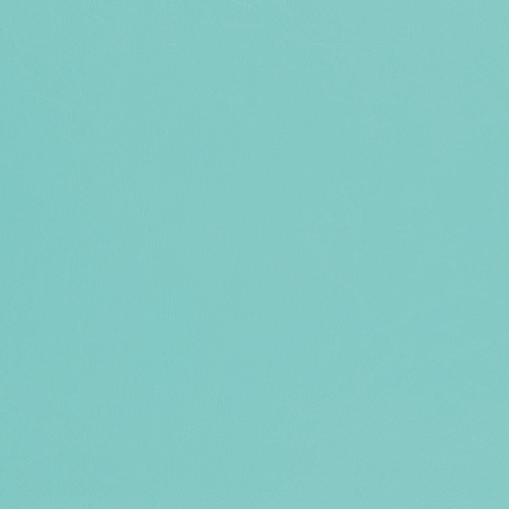 Delphine Aqua