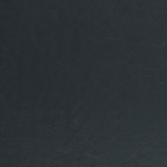Delphine Navy