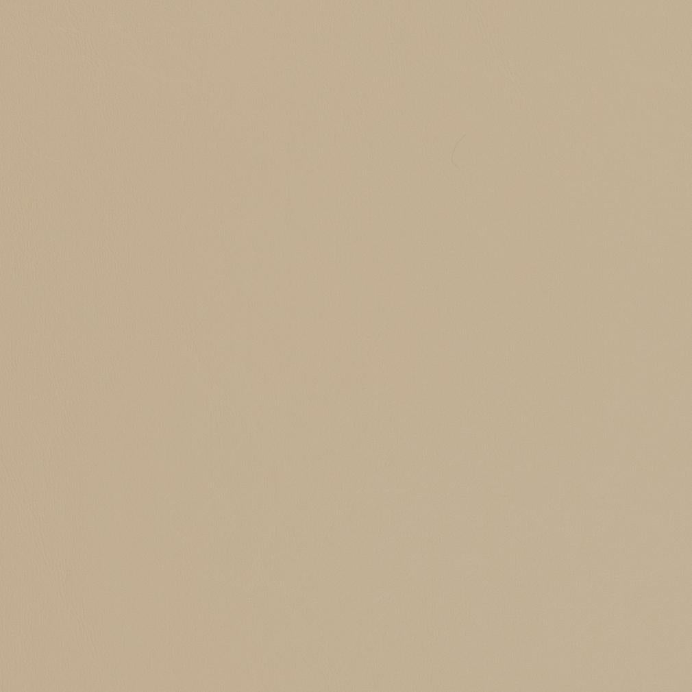 Delphine Sandstone