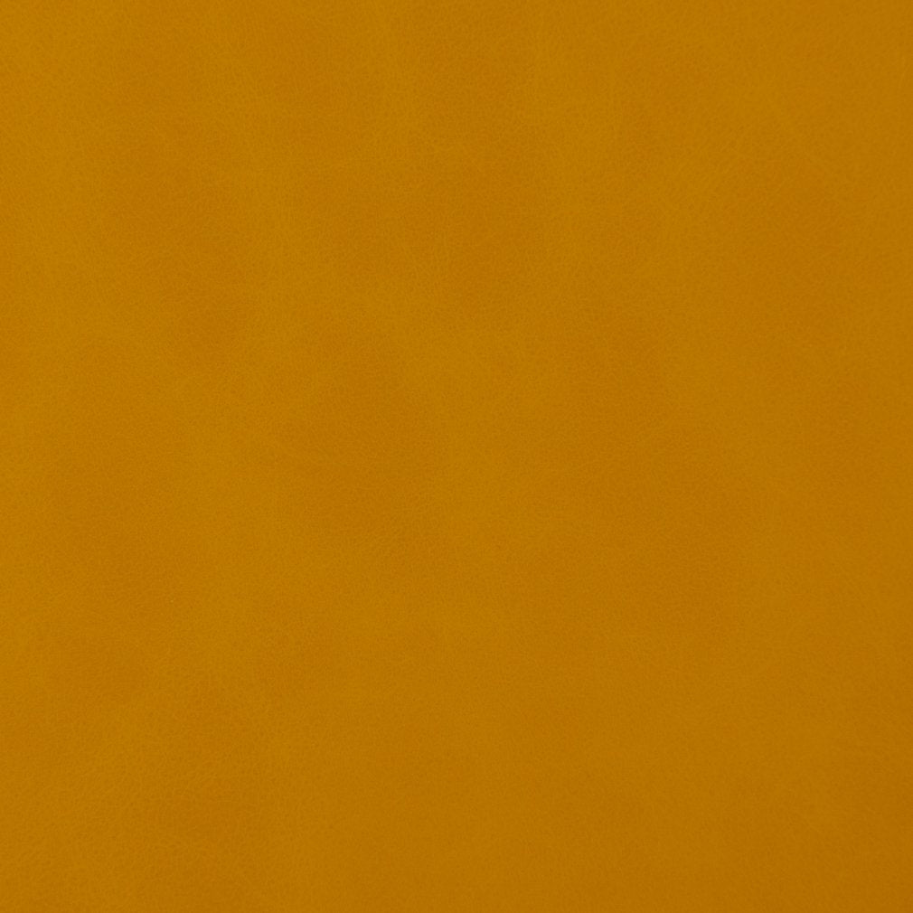 Dixon Saffron