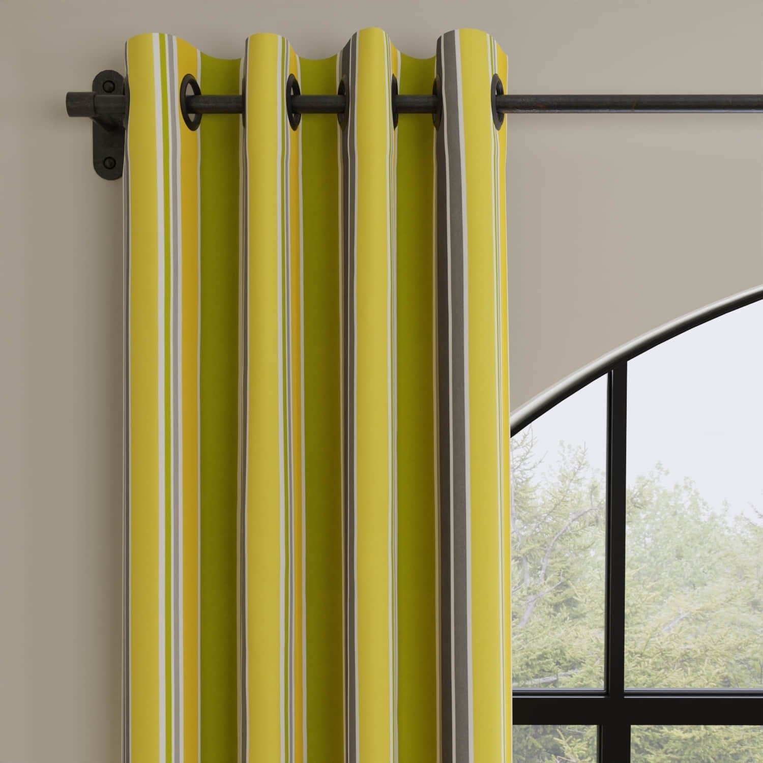 Dominica Limelight