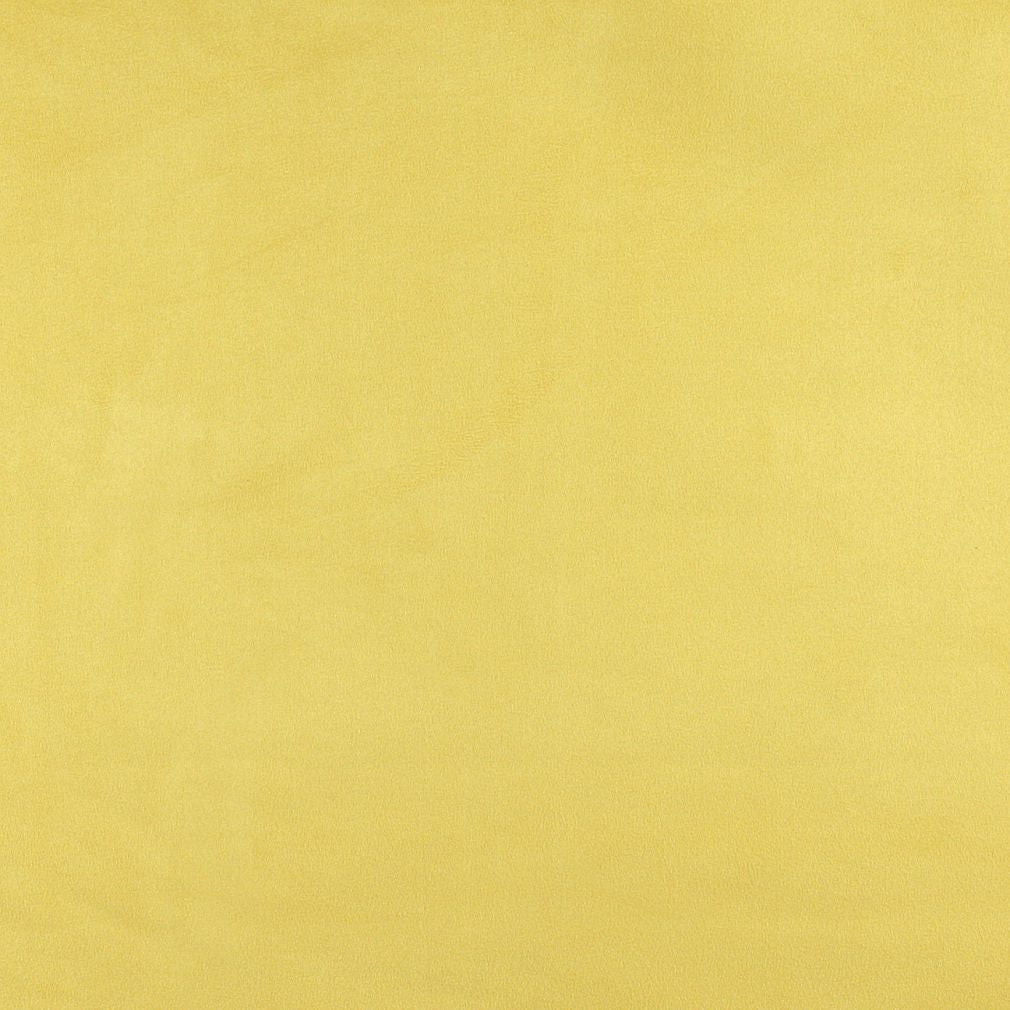 Dotson Canary