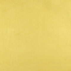 Dotson Canary